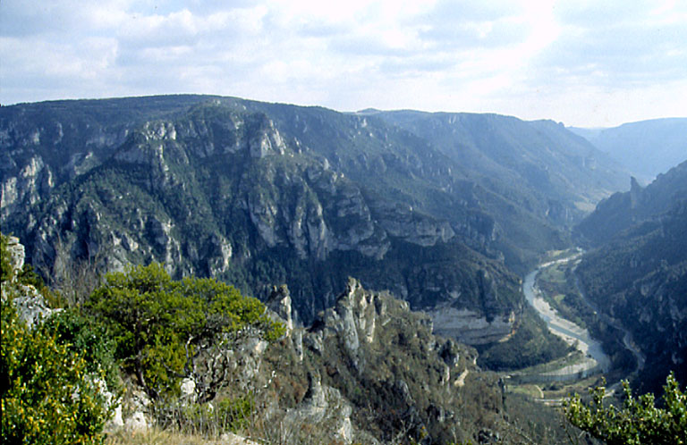 Vue des gorges du Tarn depuis le point sublime, en direction du sud