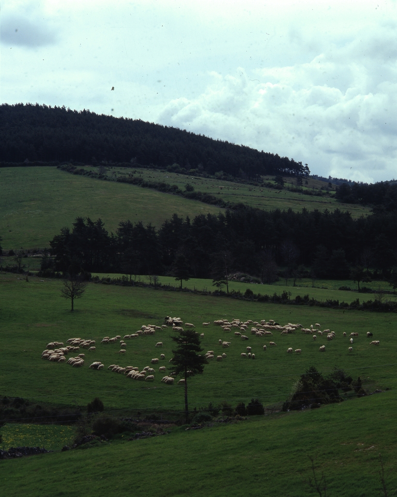 Paysage du causse de Sauveterre près de la Canourgue