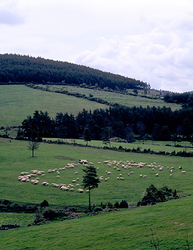 Paysage du causse de Sauveterre près de la Canourgue