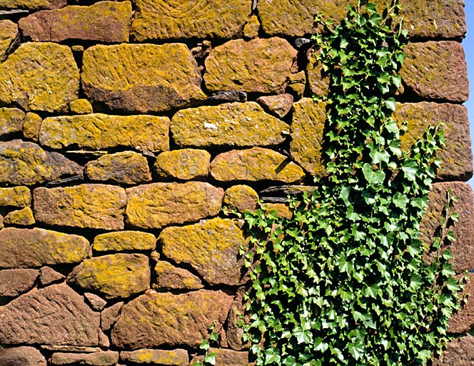 Détail d'appareil de grès rouge