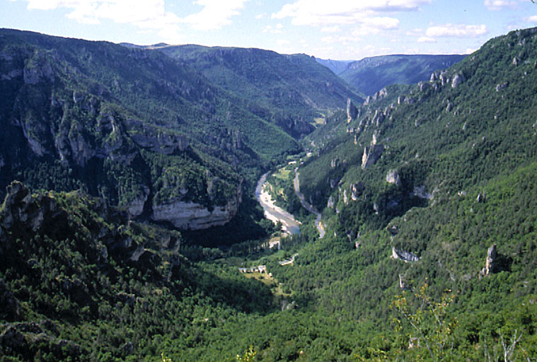 Les gorges du Tarn.