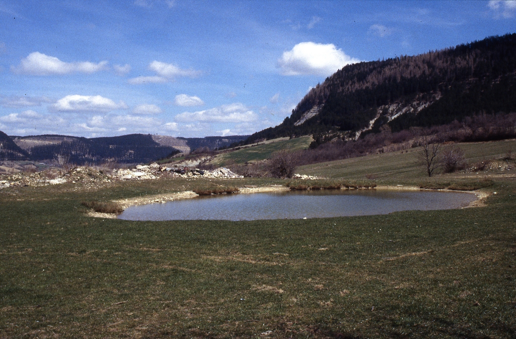 Paysage du Valdonnez avec au premier plan une lavogne et à l'arrière plan le Truc de Balduc