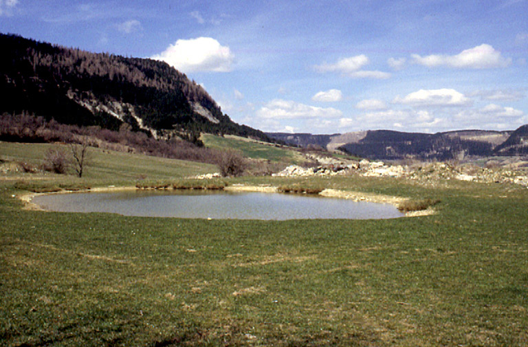 Paysage du Valdonnez avec au premier plan une lavogne et à l'arrière plan le Truc de Balduc.