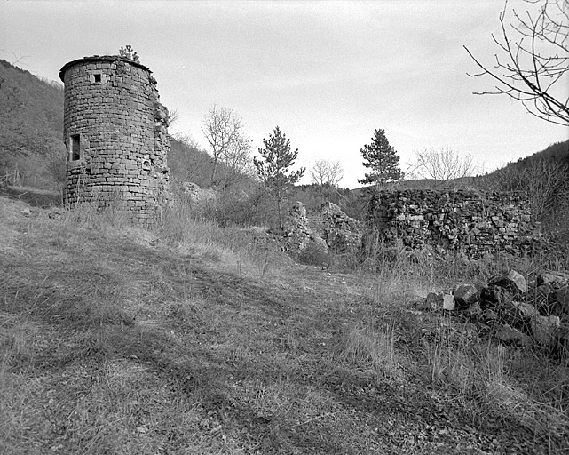 Vue d'ensemble des ruines du logis.