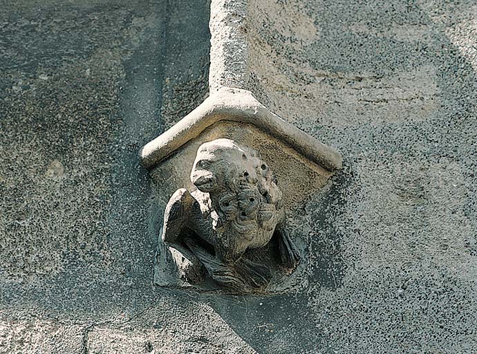 Culot n° 2 : lion