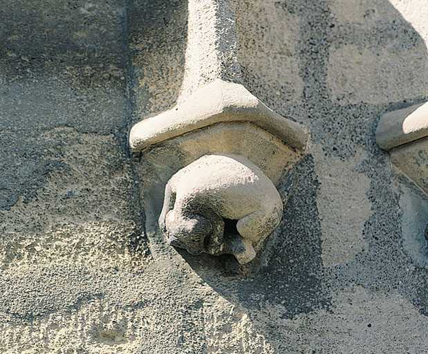 Culot n°6 : chien