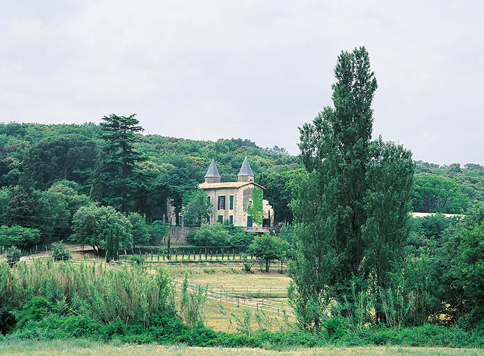 Vue générale du site.