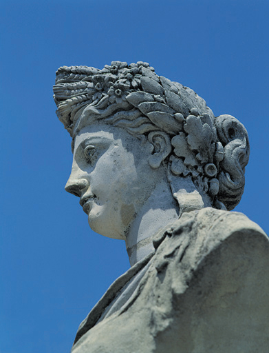 Vue de profil.