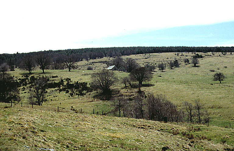 Vue du buron de Brassalière prise de la Vachellerie