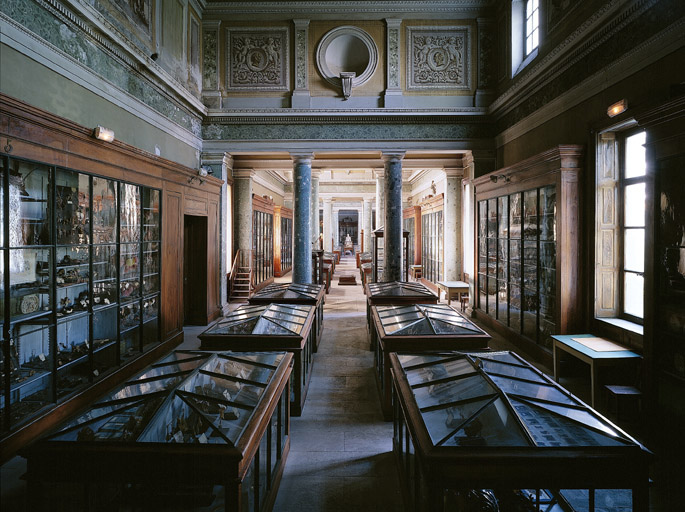 Faculté de médecine. Conservatoire d'anatomie. Vue d'ensemble.