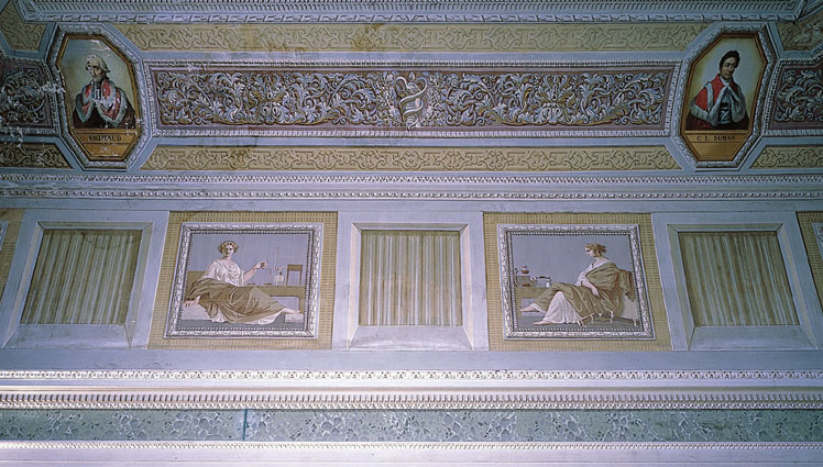 Faculté de médecine. Conservatoire d'anatomie. Décor peint, détail.