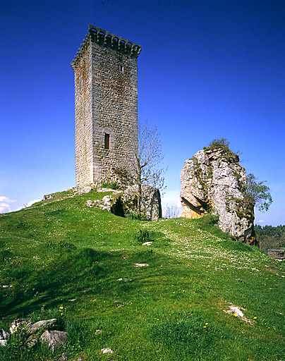 Vue d'ensemble de la tour, prise de l'est