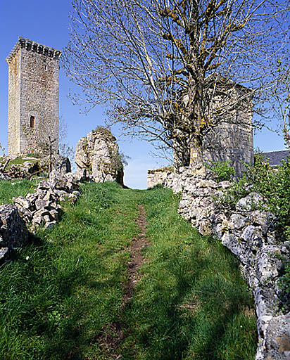 Ancien chemin d'accès au site ; vue prise de l'est