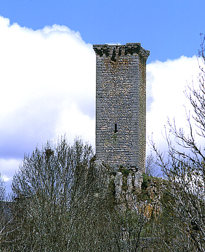 Vue d'ensemble de la tour prise de l'ouest