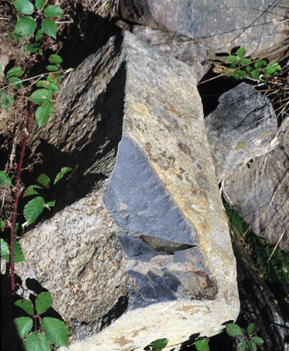 Ancienne carrière de basalte au dessus de La Salce, détail