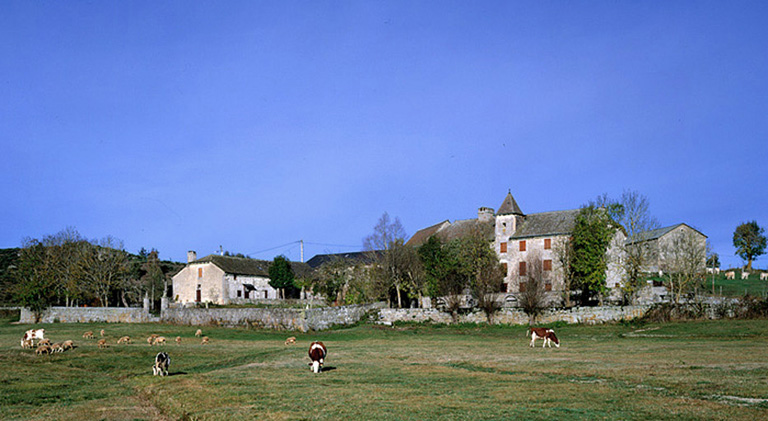 Vue d'ensemble du château et de ses dépendances, prise du sud