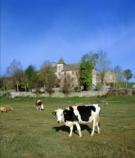 Vue d'ensemble du château et de son environnement prise du sud