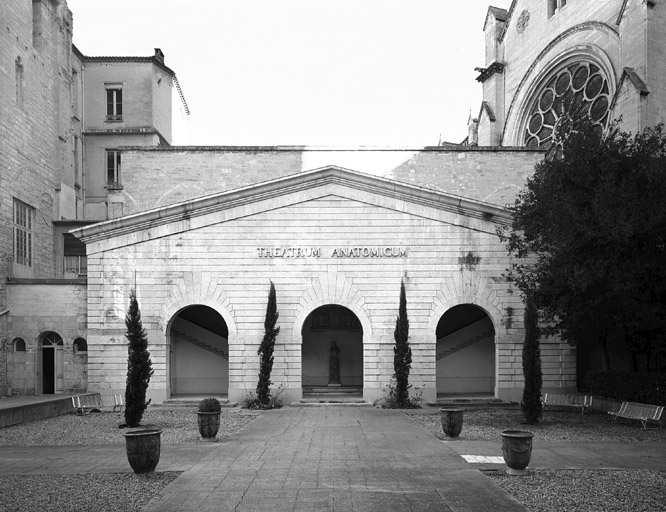 Ensemble immobilier désigné comme "faculté de médecine" (ancien couvent Saint-Benoît, ancien évêché et faculté de médecine avec le musée d'anatomie)