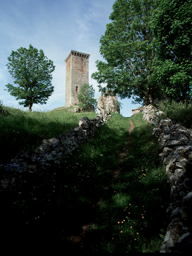 La tour d'Apcher, vue prise du sud à partir de l'ancien chemin