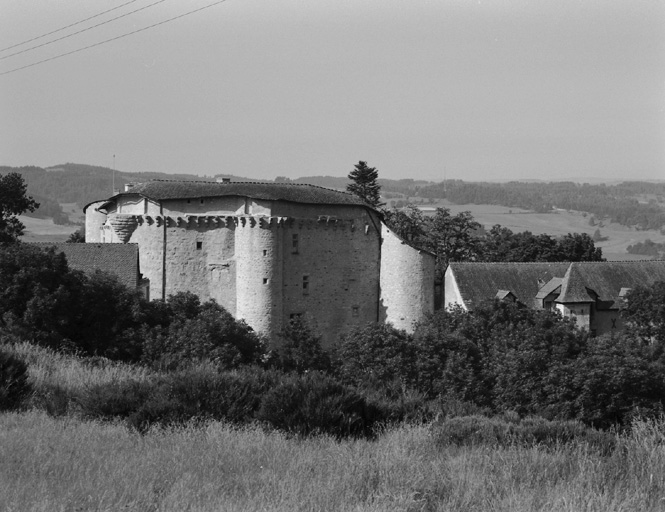 Vue d'ensemble du château prise du nord-est