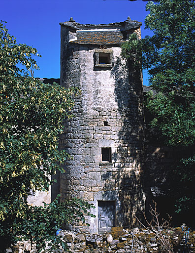 Vue d'ensemble de la tour d'escalier prise de l'ouest.