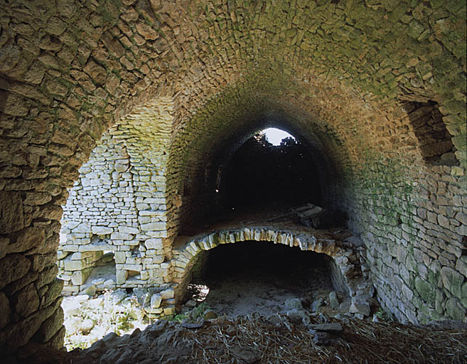 Vue d'ensemble des voûtes de l'étable et de la grange.