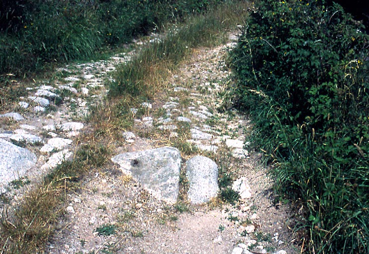 Chemin empierré entre Bassy et La Fage.