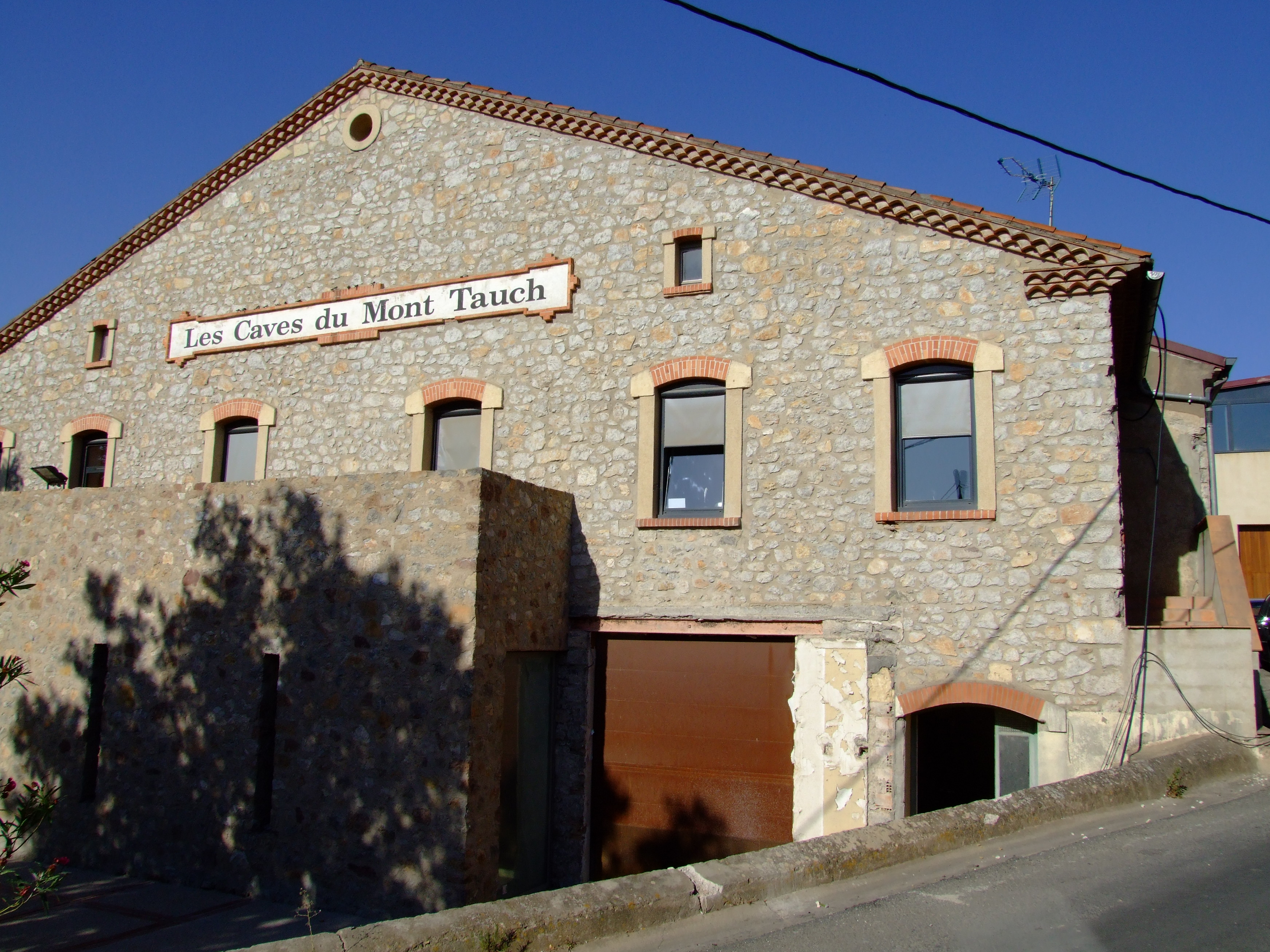 "coopérative vinicole Cave coopérative de vinification et de distillerie de Tuchan (Aude) ; Les Caves du Mont Tauch"
