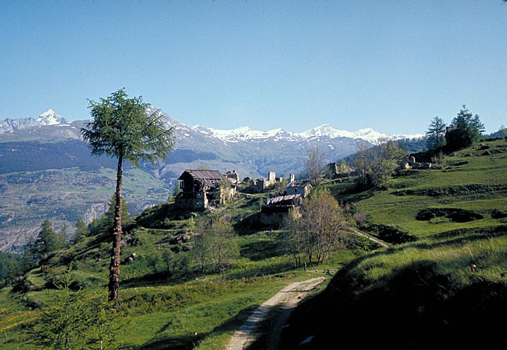 Serre de Chabrand. Vue d'ensemble prise du sud.