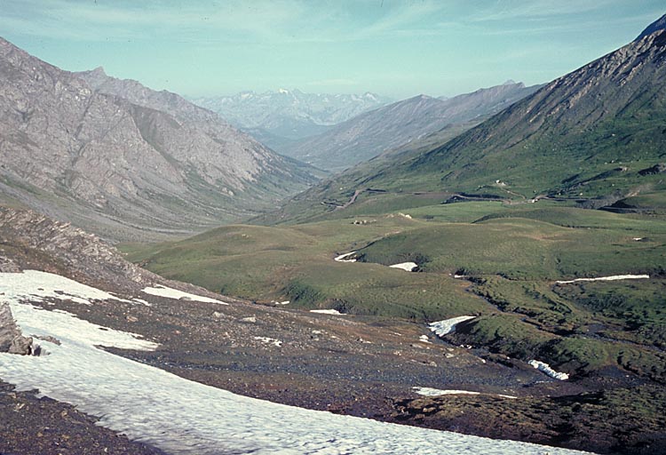 Vue générale.