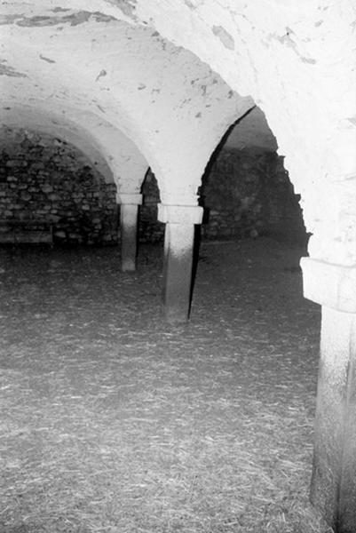 Ferme de type IB2a. La salle voûtée d'arêtes et les piliers.