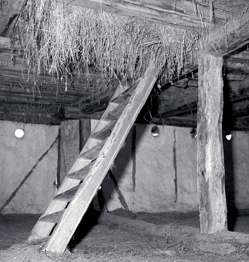 Grange, deuxième plan. Echelle de meunier montant au troisième plan.