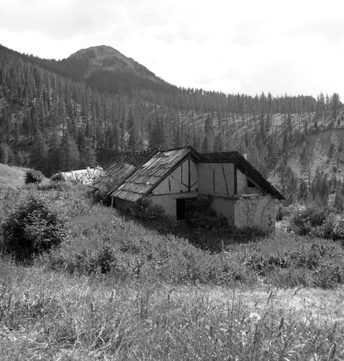 Chalet 756. Vue d'ensemble prise du nord. ; Le Vallon. Chalet parcelle 756. Vue d'ensemble prise du nord. La porte ouvre sur l'étage (grange).