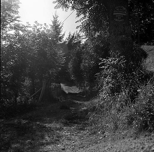 Ce chemin d'aspect très rural se trouve à l'intérieur même du village d'Orcières.