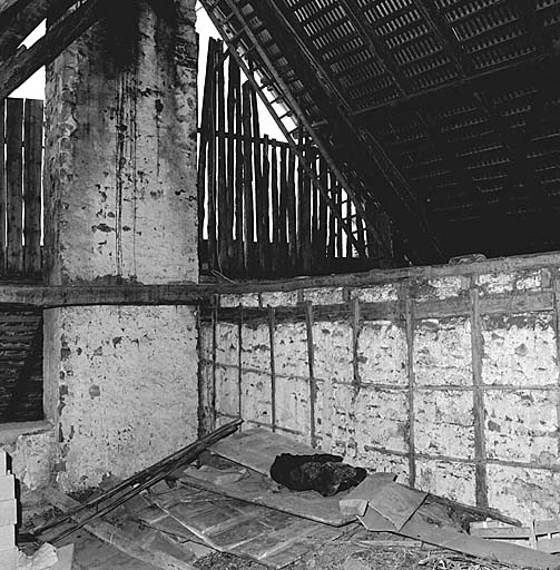 Photo prise dans la grange. A noter l'importance de la cheminée.