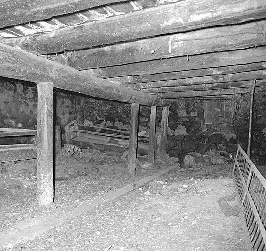 L'écurie. A noter le canal d'écoulement du purin au centre de la pièce.