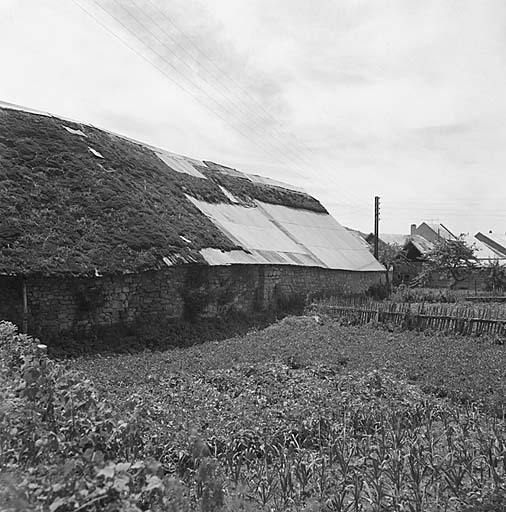 Parcelle 263. Mur nord. Toit de chaume, bardeaux et tôle ondulée.