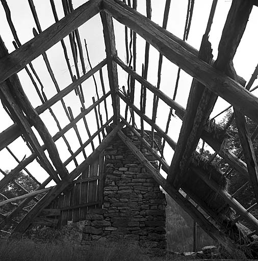 Ferme en ruine. Charpente traditionnelle à deux arbalétriers croisés sous la poutre faîtière.