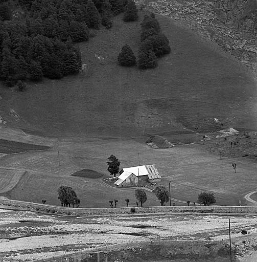 Delà-le-Drac. Une ferme isolée sur les terrasses fertiles qui bordent le Drac. Noter la digue qui protège la route et les frênes étêtés qui bordent celle-ci.