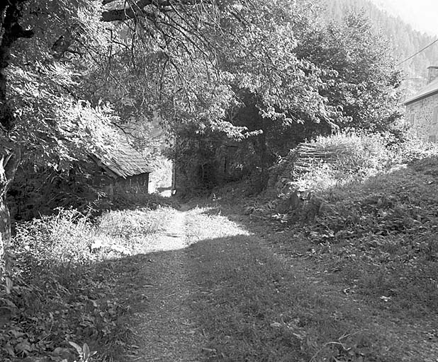 Chemin d'accès à la ferme. A gauche le four.