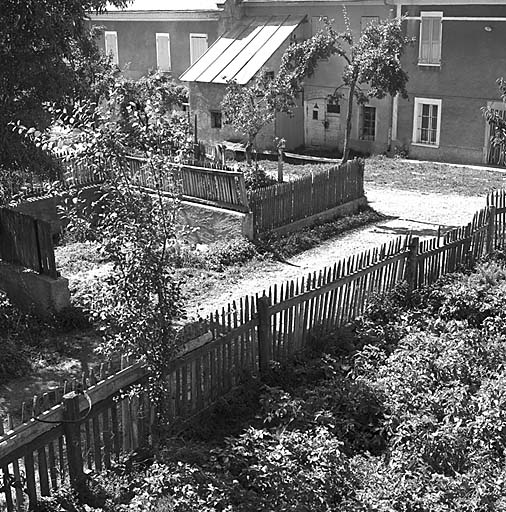 A proximité des maisons, les jardins potagers clos de barrières de bois.