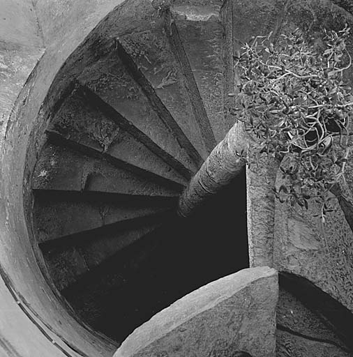 L'escalier dans la tour. Vue prise du premier étage.