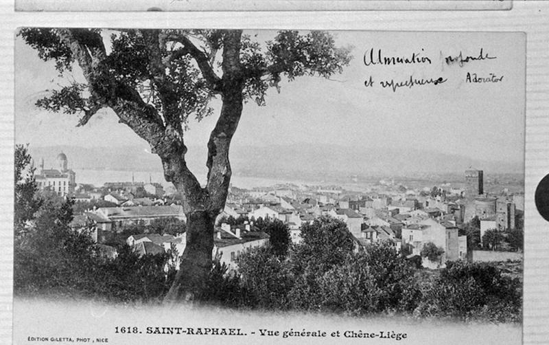 Saint-Raphaël. Vue générale et chêne-liège.