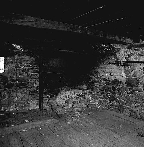 Le logis : la cheminée.