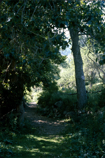 Les Esclayers, chemin creux.