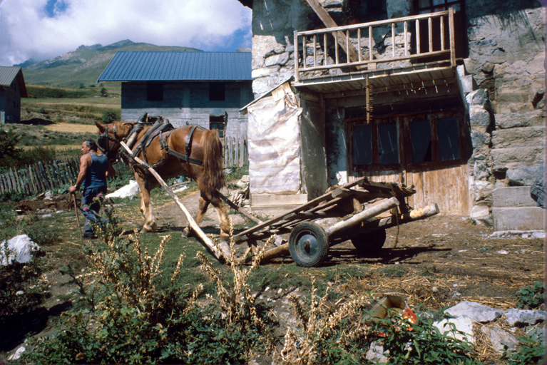 Puy-Aillaud. Cheval et ramasse à roulettes.