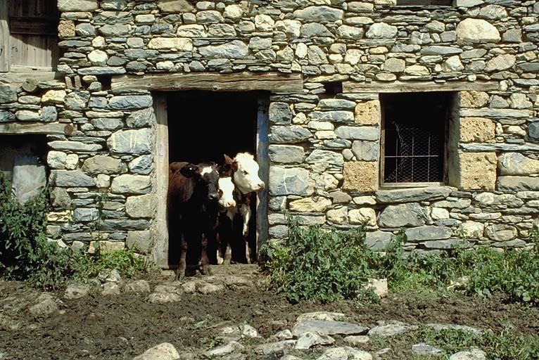 Vallon de la Buffe : cabane du Torrent de la Courbeille : porte d'entrée.