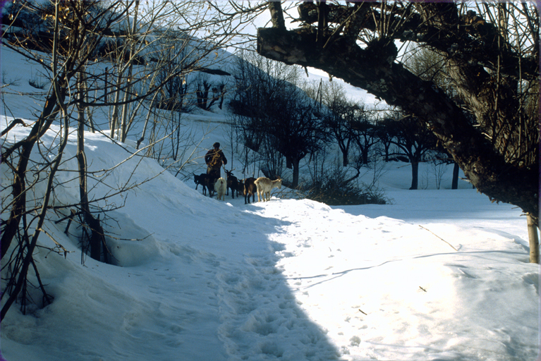 Puy-Aillaud. Chemin rural.