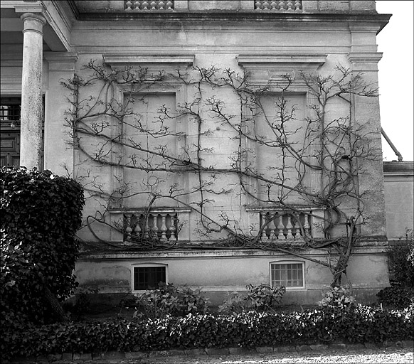 Façade orientale. Fausses fenêtres à droite de la porte.