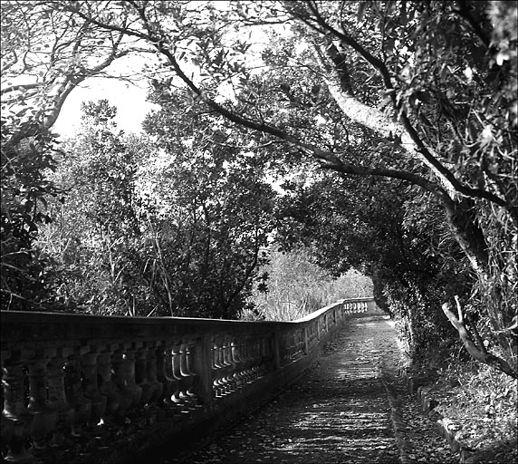 Jardin. Allée ©. Vue prise vers l'ouest.